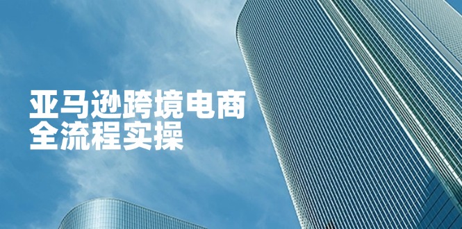 亚马逊跨境电商全流程实操，教你从零开始，掌握店铺运营与广告技巧-米创网
