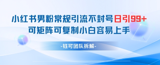 小红书男粉常规引流不封号日引99+变现简单 可矩阵可复制小白容易上手-米创网