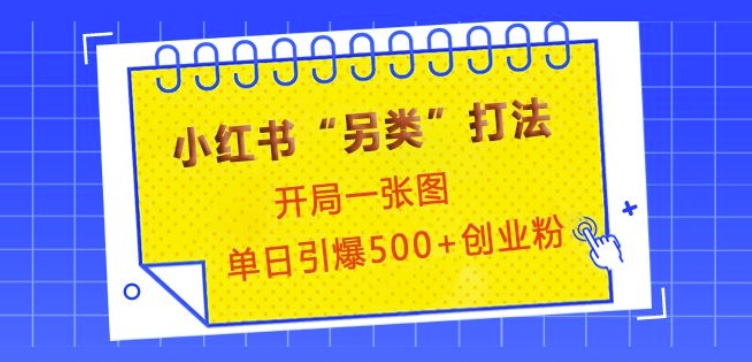 小红书“另类”打法，开局一张图，单日引爆500+精准创业粉【揭秘】-米创网