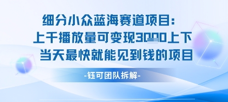小众蓝海赛道项目：当天变现1k+适合新手操作 +适合长期玩-米创网