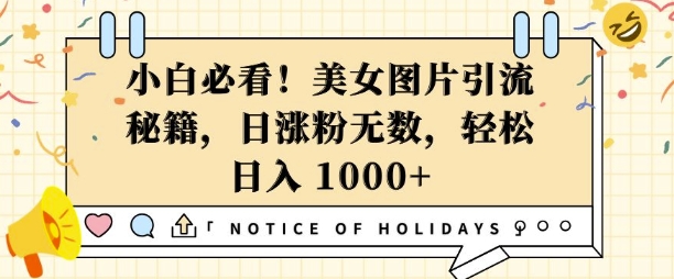 小白必看，美女图片引流秘籍，日涨粉无数，轻松日入几张【揭秘】-米创网