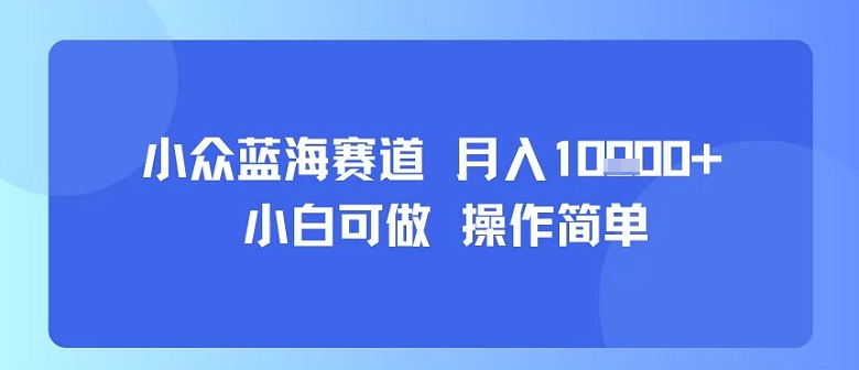 小众蓝海赛道，小白可做，操作简单，每天30分钟，月入1W+-米创网