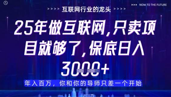 什么！25年你还在找项目做？风口早就变了，卖项目才是稳挣不赔【揭秘】-米创网