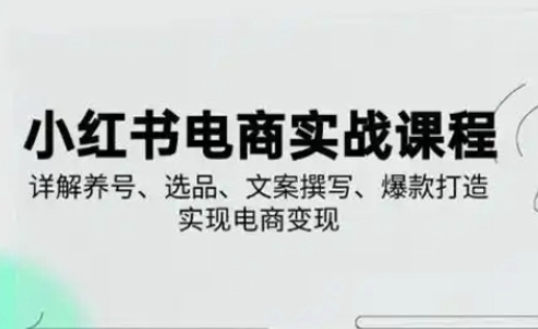 小红书从0-1实操课(2023-2025)，详解养号、选品、文案撰写、爆款打造实现电商变现-米创网