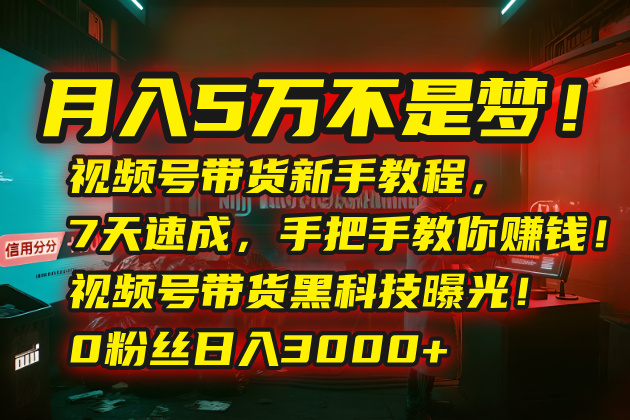 月入5万不是梦！视频号带货新手教程，7天速成，手把手教你赚钱！视频号…-米创网