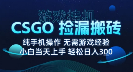 8月最新游戏搬砖，CSGO纯挂G，不需要玩游戏，实现真挂G，月入1W+【揭秘】-米创网