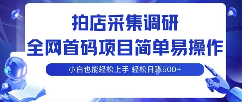 拍店采集调研，全网首码项目，简单易操作， 小白也能轻松上手，多账号操作，轻松日入5张【揭秘】-米创网
