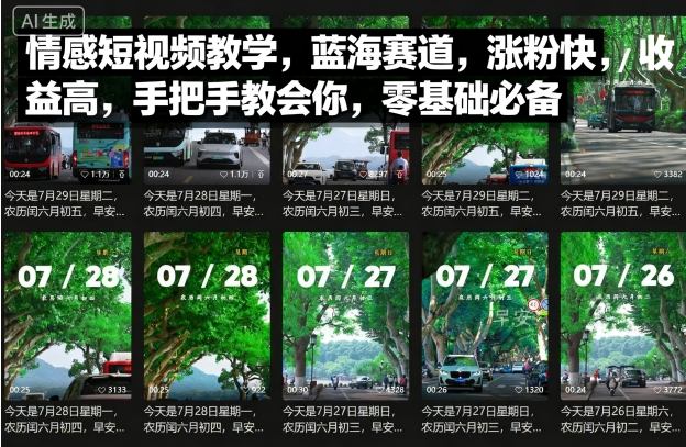 情感短视频教学，蓝海赛道，涨粉快，收益高，手把手教会你，零基础必备-米创网