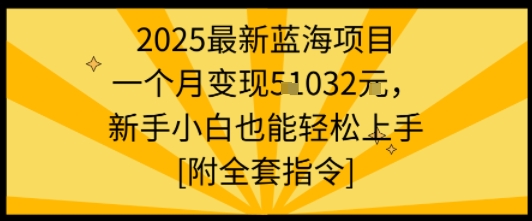 2025最新蓝海项目一个月变现1w+新手小白也能轻松上手【附全套指令】-米创网