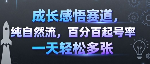 成长感悟赛道，纯自然流，百分百起号率 一天轻松多张-米创网