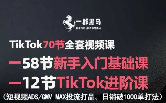 TikTok全套视频课，新手入门+进阶课，短视频ADS-GMV MAX投流打品，日销破1000单打法-米创网