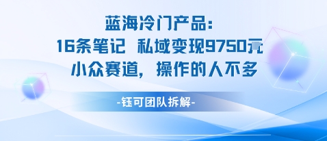 蓝海项目：16条笔记私域变现9750米小众赛道操作的人不多-米创网