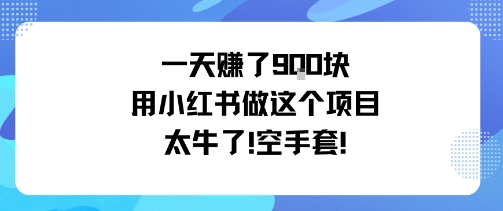 一天挣了9张用小红书做这个项目太牛了，空手套-米创网