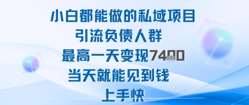 2025年小白都能做的私域项目引流负债人群最高一天变现1k+高变现难度低当天就能见到钱上手快-米创网