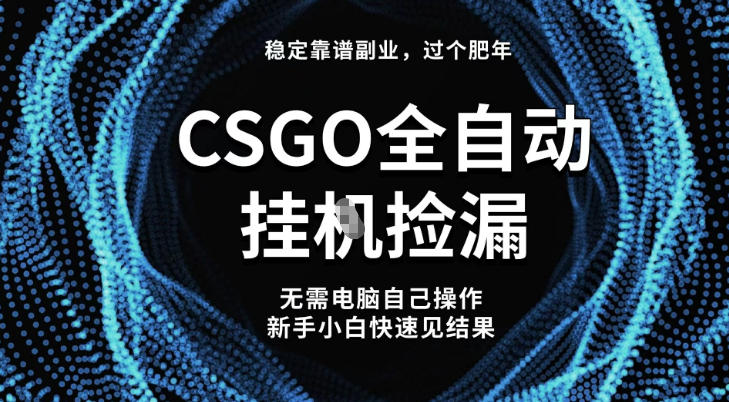 【稳定副业】全球最热门游戏CSGO全自动捡漏，最新玩法，新手小白日入5张+【揭秘】-米创网