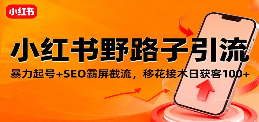 小红书野路子引流，暴力起号+SEO霸屏截流，移花接木日获客100+-米创网