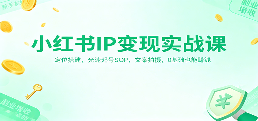 小红书IP变现实战课：定位搭建，光速起号SOP，文案拍摄，0基础也能赚钱-米创网