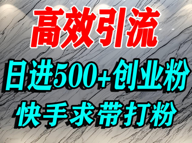 怎么打创业粉？快手求带视角精准引流创业粉，宝妈、学生群体日进500+精准流量-米创网