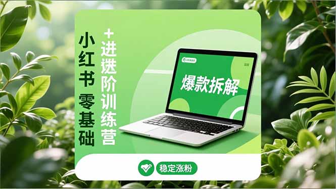 小红书零基础+高阶训练营：安全养号、爆款拆解、长效运营，实现稳定涨粉与变现-米创网
