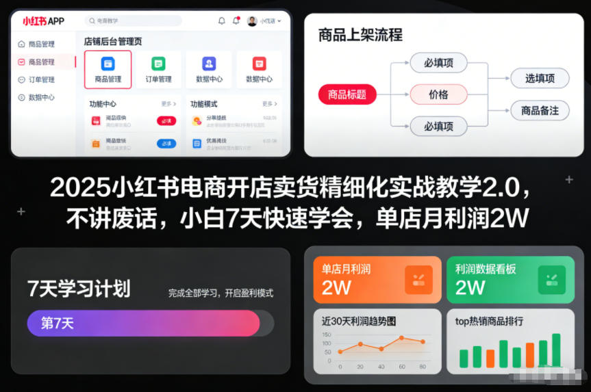 2025小红书电商开店卖货精细化实战教学2.0，不讲废话，小白7天快速学会，单店月利润2W-米创网