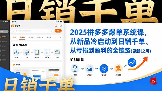 2025拼多多爆单系统课，从新品冷启动到日销千单、从亏损到盈利的全链路(更新12月-米创网