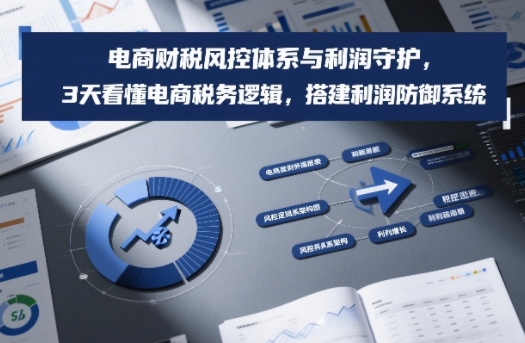 电商财税风控体系与利润守护，3天看懂电商税务逻辑，搭建利润防御系统-米创网