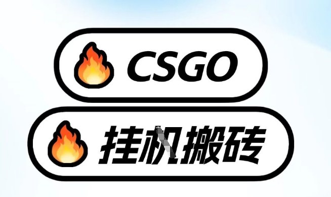 真全网独家CSGO挂G，最新玩法,单日捡漏1K+，不用电脑，不用打游戏【揭秘】-米创网