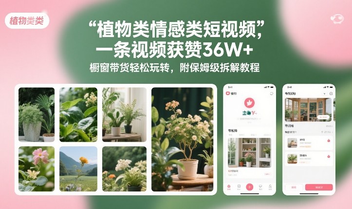 植物类情感类短视频，一条视频获赞36W+，橱窗带货轻松玩转，附保姆级拆解教程-米创网