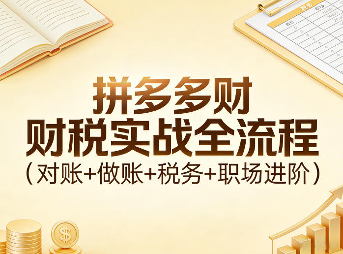 拼多多财税实战全流程(对账+做账+税务+职场进阶)-米创网