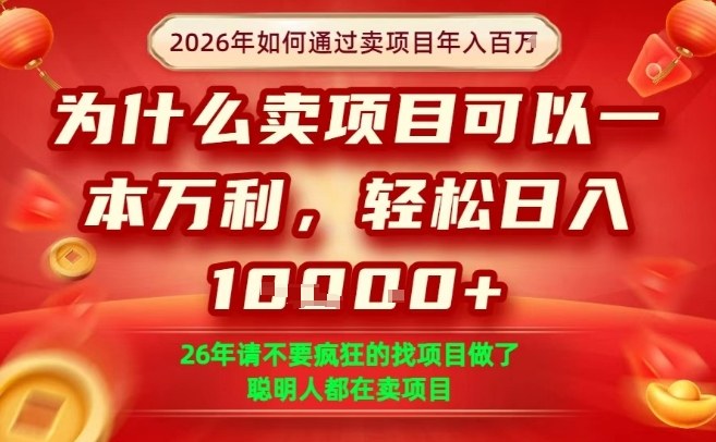一单净利润1K+，26年想年入100个W，死磕卖项目就够了【揭秘】-米创网