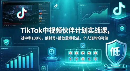 TikTok中视频伙伴计划实战课，过中率100%，低封号+播放量賺收益，个人矩阵均可做-58创客