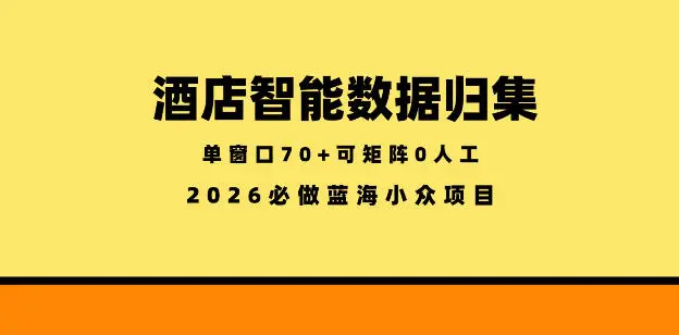 酒店智能数据归集，小众蓝海已经稳定半年之久，单窗口70+零成本矩阵开干【揭秘】-58创客