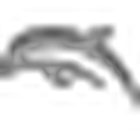 Dolphin模拟器