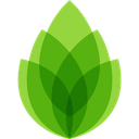 芦笋直播助手