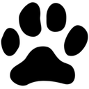 国际雪豹基金会