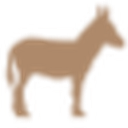 SongDonkey
