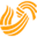 山东卫视
