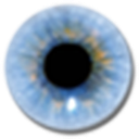 Visuwords