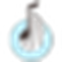 C大调音乐网