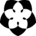 科学之美历史