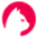 奇思猫