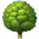 Tree FM