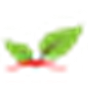 小学资源网