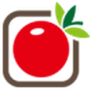学种菜网